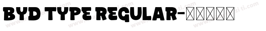 BYD TYPE REGULAR字体转换